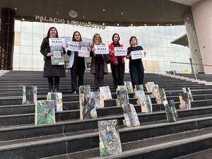 Bosque San Vicente: Diputados dejan sin tratar Ley para salvar un centenar de árboles - Nacionales - ABC Color