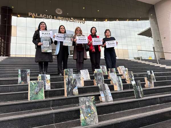 Bosque San Vicente: Diputados dejan sin tratar Ley para salvar un centenar de árboles - Nacionales - ABC Color