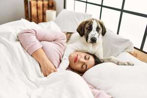 Estos son los beneficios de dormir con  tu perro - Mascotas - ABC Color