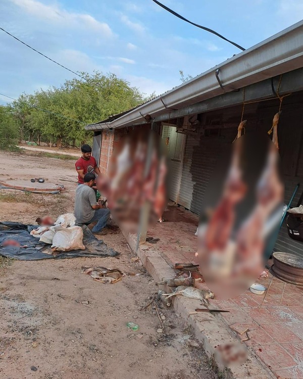 Policías estarían involucrados en supuesta caza furtiva de animales silvestres - Unicanal