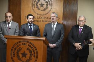 TSJE presenta al Senado proyecto de “reformas técnicas” electorales - Política - ABC Color