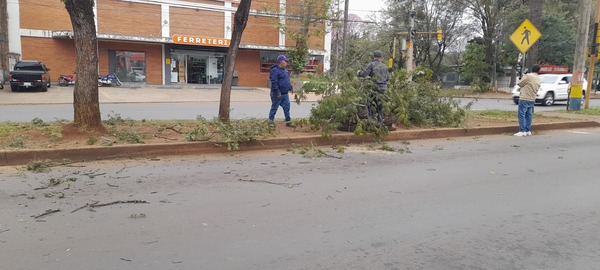 Intervención en el Paseo Central de la Avenida Irrazabal por Parte de la Dirección de Área Verde