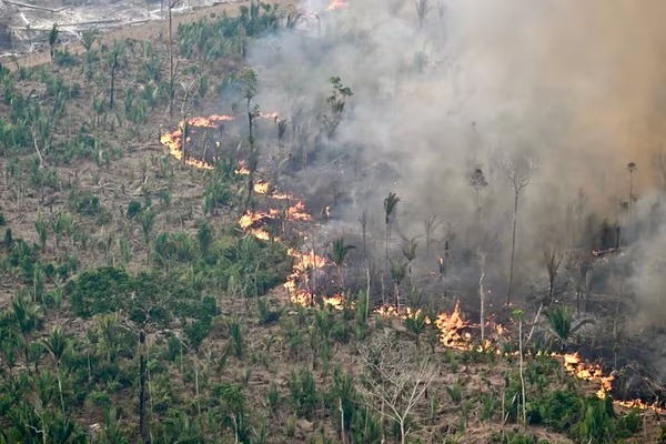 Corte Suprema de Brasil le ordenó a Lula da Silva movilizar militares y policías contra los incendios forestales - ADN Digital