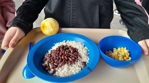 Hambre Cero: Salud Pública identificará a alumnos celiacos, intolerantes a la lactosa y alérgicos, en Central - Nacionales - ABC Color
