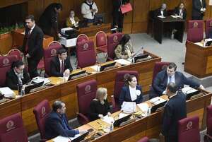 Senado crea 331 cargos  y amplía fondos para el IPS - Política - ABC Color