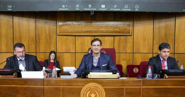 La Nación / Comisiones del Senado recomiendan ampliar presupuesto del IPS