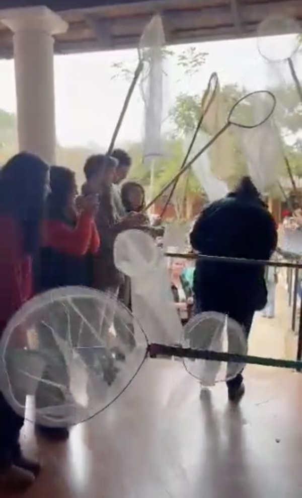 [VIDEO] Con redes, despidieron a profe luego de 28 años de enseñanza