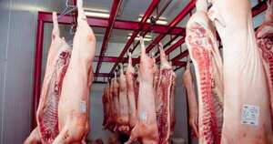 La Nación / Paraguay se ubicó como tercer mayor proveedor de carne porcina a Taiwán hasta julio