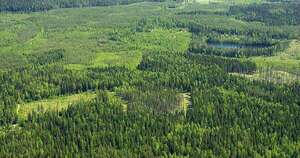 Diario HOY | Autoridades paraguayas en Finlandia: agenda sobre educación y manejo forestal sostenible