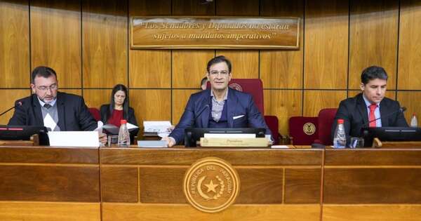 La Nación / Comisiones del Senado recomiendan ampliación del presupuesto del IPS