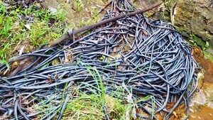 Senadores presentan proyecto de ley para frenar robo de cables