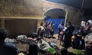 Conductor de motocarro muere al perder los frenos y chocar muralla