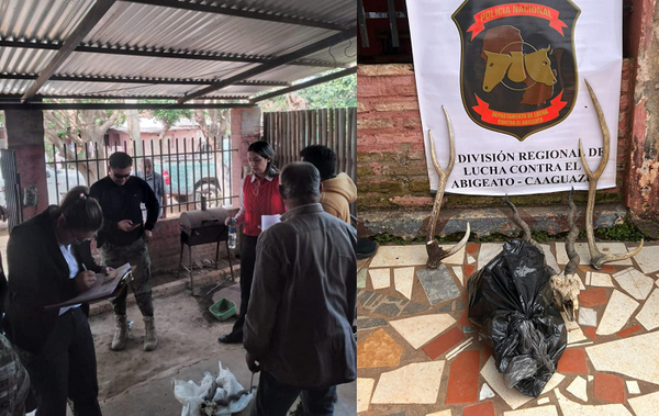 Comitiva fiscal policial allanaron una vivienda en Coronel Oviedo por caza furtiva de animales silvestres - Noticiero Paraguay
