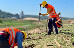 Buscan "Verdear" la Costanera Sur con proyecto de arborización comunitaria - .::Agencia IP::.