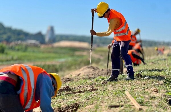 Buscan "Verdear" la Costanera Sur con proyecto de arborización comunitaria - .::Agencia IP::.