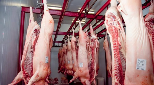 Paraguay se ubicó como tercer mayor proveedor de carne porcina a Taiwán hasta julio