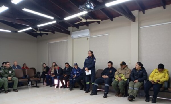 Coordinan acciones para combatir incendios forestales en Alto Paraná