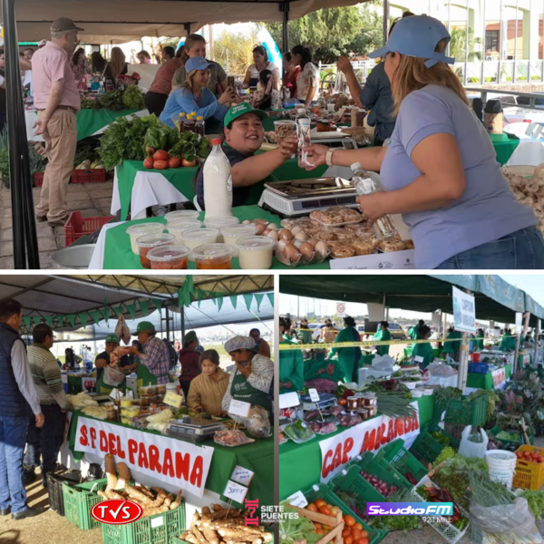 FERIA DE AGRICULTURA FAMILIAR SE REALIZARÁ EN ENCARNACIÓN CON PRODUCTOS FRESCOS Y DE CALIDAD - TVS