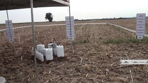 Ciagropa organiza exitoso día de campo sobre manejo integrado de malezas en Capitán Miranda