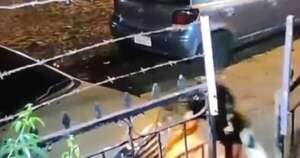 Diario HOY | ¡Héroe Canino! perro frustra robo y ayuda a atrapar delincuente en Asunción