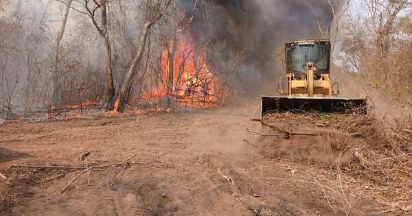 Diario HOY | Falso fiscal ambiental exigía dinero a ganaderos con oficios mau