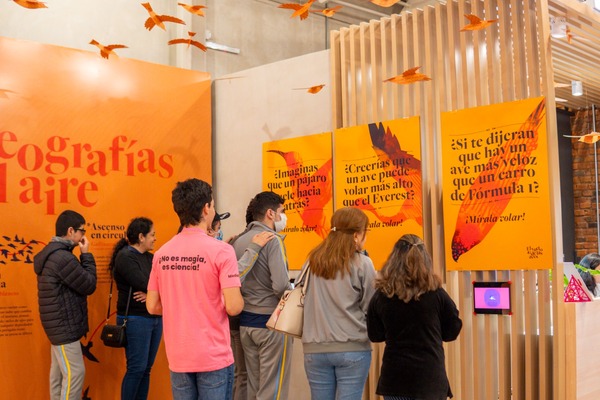 Continúan en septiembre las experiencias interactivas en el MuCi: aves y dinosaurios - ADN Digital