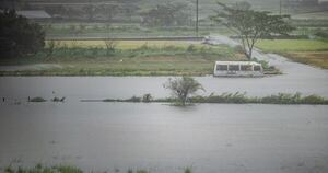 La Nación / Potente tifón “Shanshan” de más de 250 km/h llega a Japón y ya deja al menos 5 fallecidos