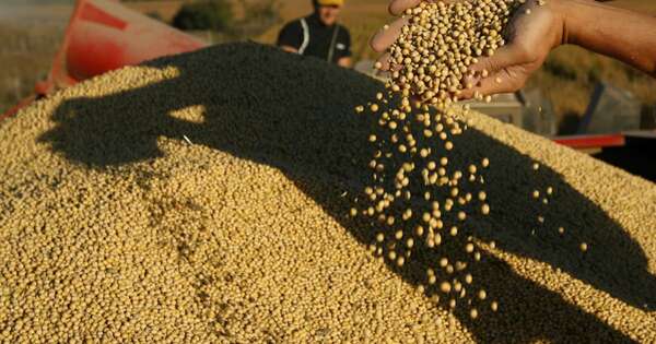 La Nación / Bajante del río y situación de precios de la soja generan escenario incierto