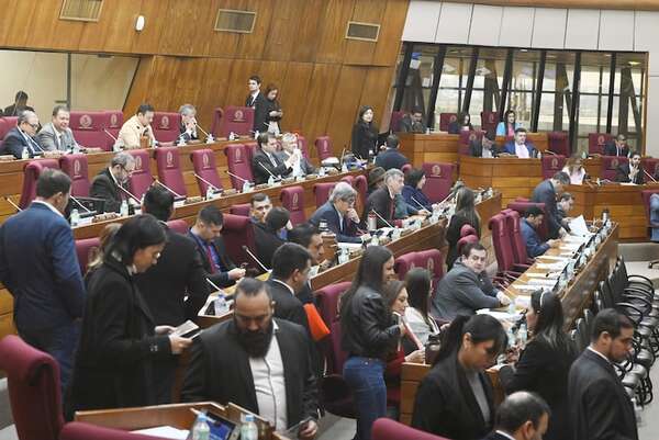 Resguardo a los datos personales, en agenda de Cámara de Diputados - Política - ABC Color