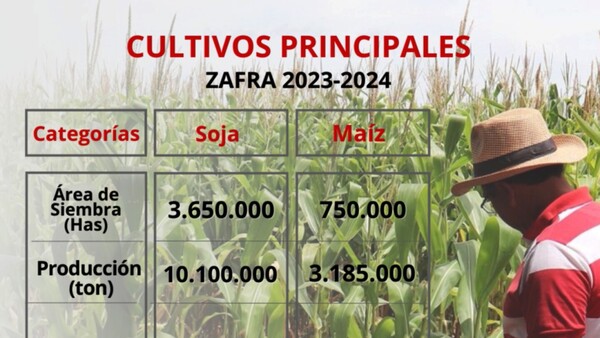 Siembra 2024: Instan a prepararse ante posibles eventos climáticos