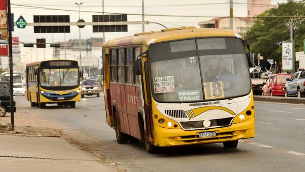 Buses diferenciales cumplieron su vida útil y ahora son chatarra