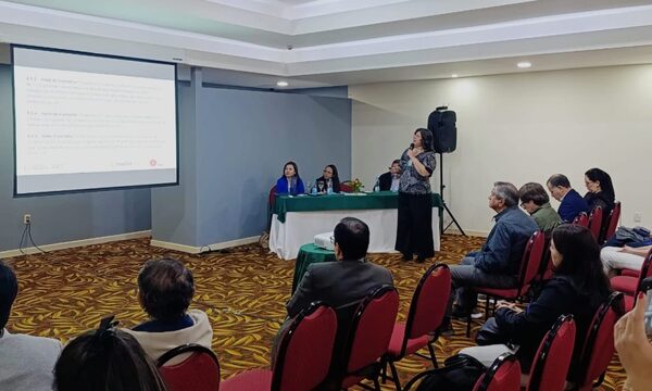 Hoteleros critican costo de categorización y exigen más orden y seguridad en C. del Este – Diario TNPRESS