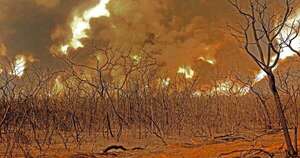 La Nación / Paraguay en llamas: ¿estamos en la era del piroceno o fuego incontrolable?