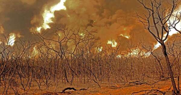 La Nación / Paraguay en llamas: ¿estamos en la era del piroceno o fuego incontrolable?