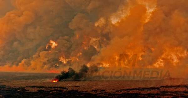 La Nación / Paraguay en llamas: ¿estamos en la era del piroceno o fuego incontrolable?
