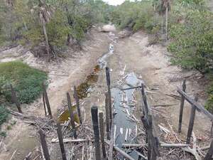 Río Paraguay: descenso superó el mínimo histórico en la cuenca del Pantanal - Noticias del Chaco - ABC Color