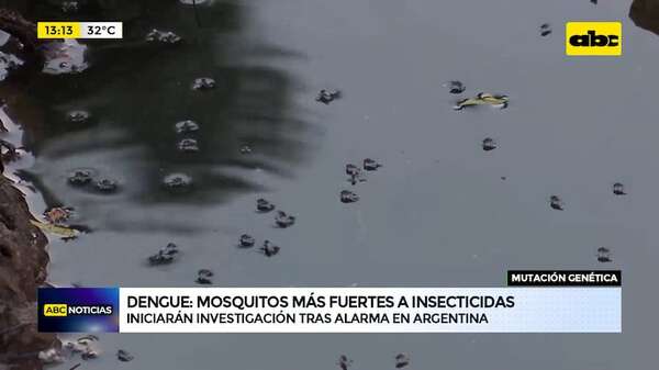 Dengue: mosquitos transmisores son más fuertes a un insecticida, según estudio - ABC Noticias - ABC Color