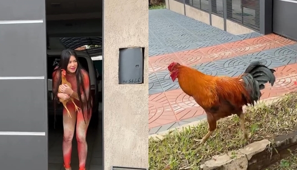 Hortensia: la gallina de Laurys Dyva está de novia - Teleshow