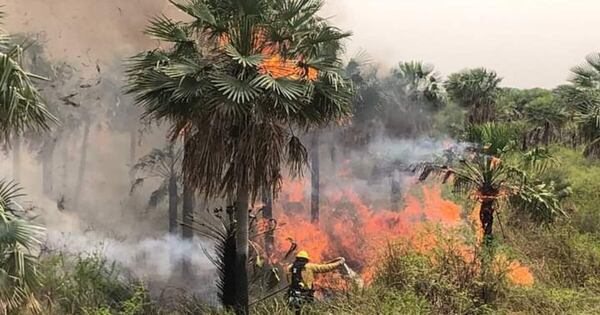 Diario HOY | Controlan incendio en la ruta Luque-Samber y no descartan que haya sido provocado