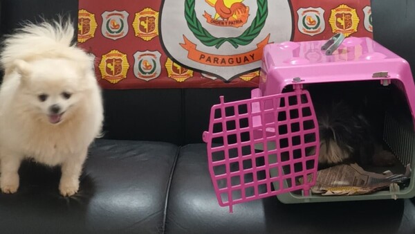 Detienen a tortoleros sospechosos de robar dos perros en Ciudad del Este