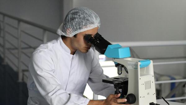 ¿Qué hay en los microbios de los alimentos? Un gran mapa genético lo descifra