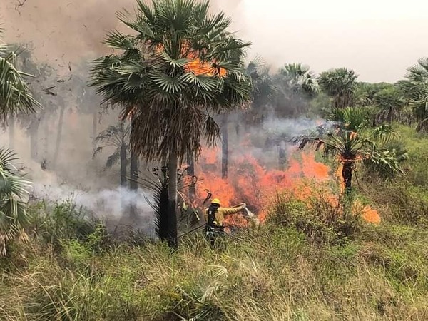Bomberos piden ayuda a otras compañías para sofocar incendios sobre Luque-Sanber - ADN Digital