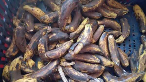 Hambre Cero: Alimentos llegan en mal estado a ex Puentesiño, según denuncia de escuela