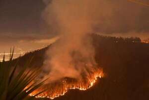 Perú ratifica su “solidaridad y apoyo efectivo” a Ecuador ante incendios forestales - Mundo - ABC Color
