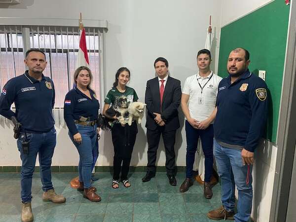 Santa Rita: fiscal imputa a dos jóvenes por el hurto de perros de raza - Nacionales - ABC Color