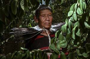 Día Internacional de los Pueblos Indígenas: ni pobres ni vulnerables, sino empobrecidos y vulnerados - Nacionales - ABC Color
