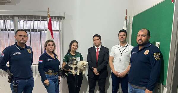Diario HOY | Robaron de una camioneta dos perros de raza y fueron imputados por la Fiscalía