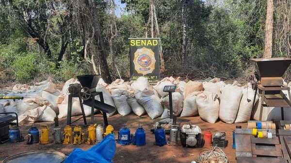 Senad destruye 6.000 kilos de marihuana en Capitán Bado