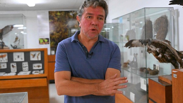 Ni los que investigan a cotorras se salvan de la violencia narco