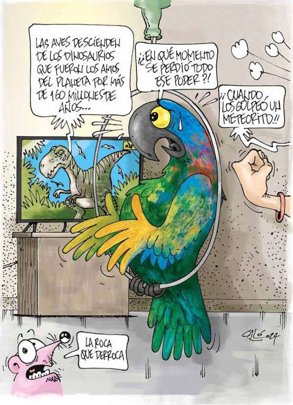 Caló rembiapo - ABC Revista - ABC Color